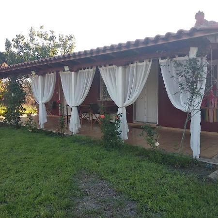 Olive Garden Guest House Kyparissia Exteriör bild