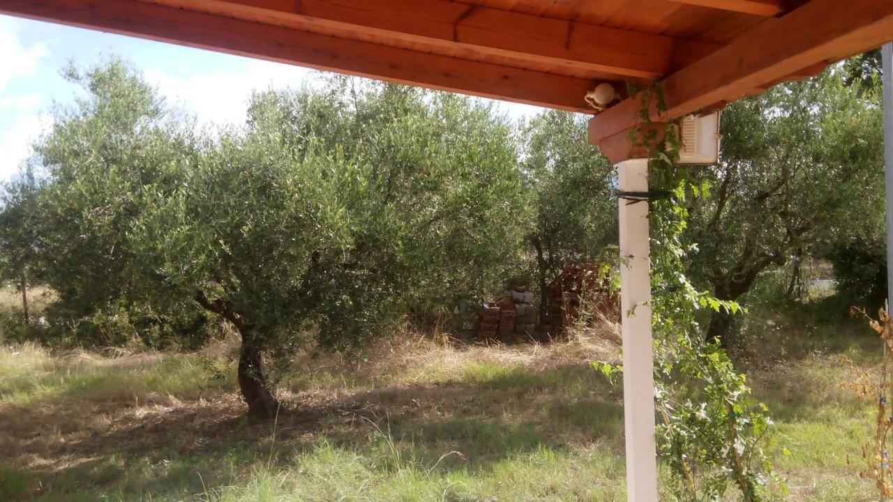 Olive Garden Guest House Kyparissia Exteriör bild