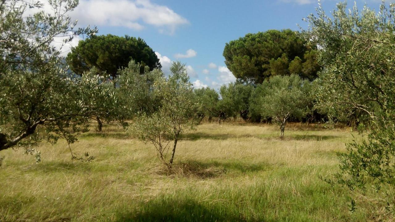 Olive Garden Guest House Kyparissia Exteriör bild