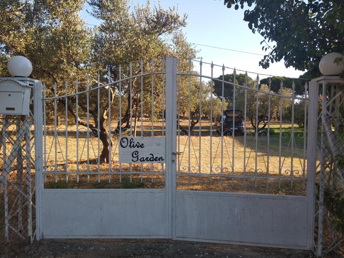 Olive Garden Guest House Kyparissia Exteriör bild