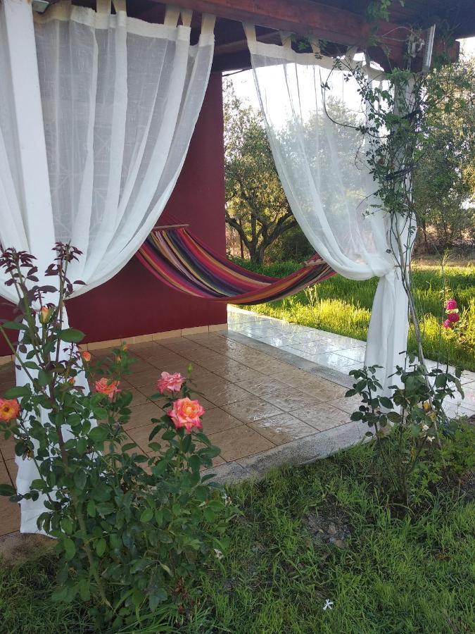 Olive Garden Guest House Kyparissia Exteriör bild
