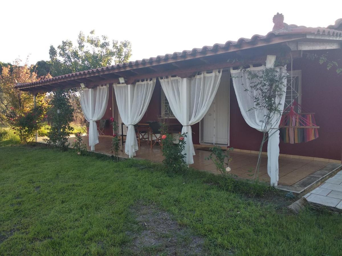 Olive Garden Guest House Kyparissia Exteriör bild